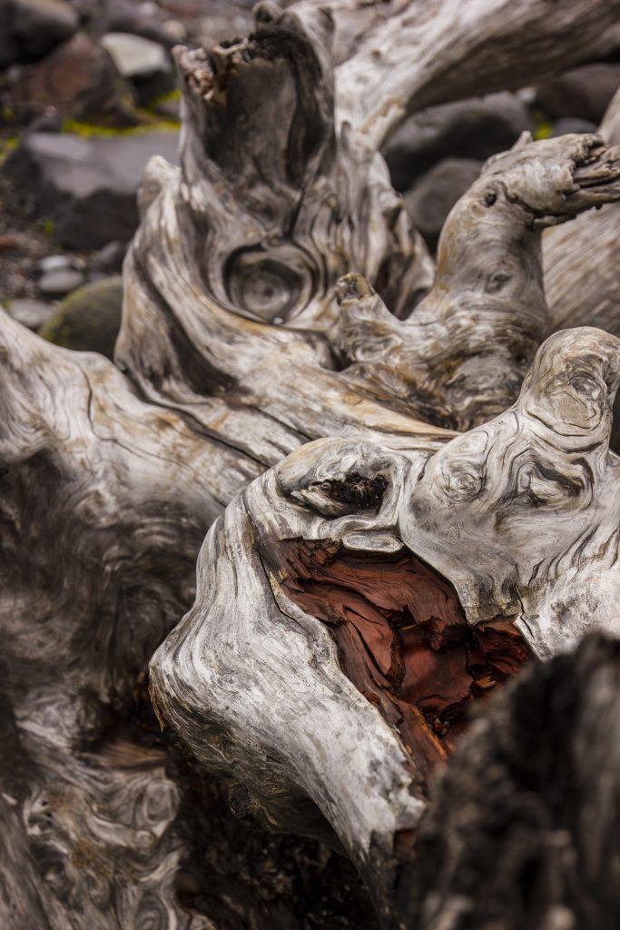 wood1